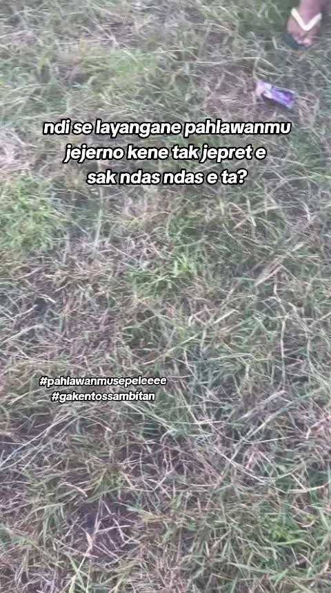 @𝕊𝕪𝕒𝕡𝕦𝕥𝕣𝕒🤙