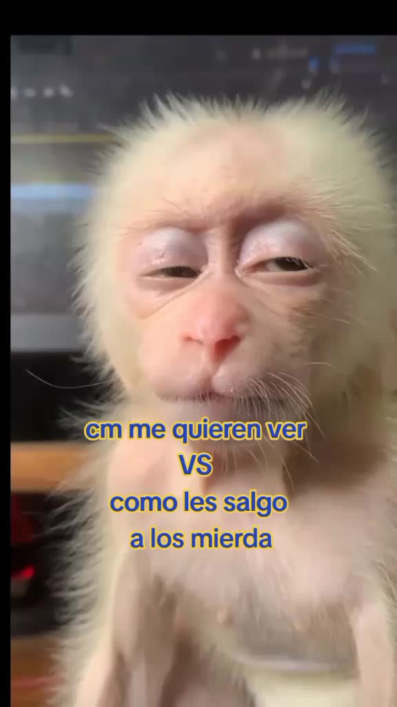 @millonsero oficial sv