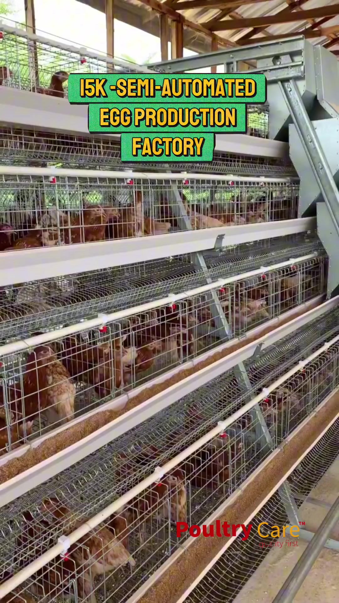 @Poultry Care
