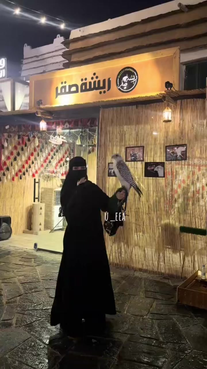 @ريشة صقر