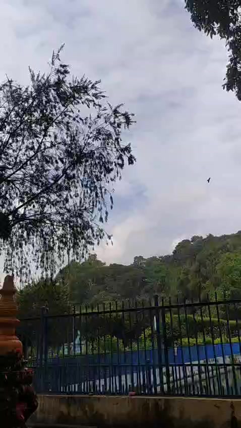 @Sabitri Nepal
