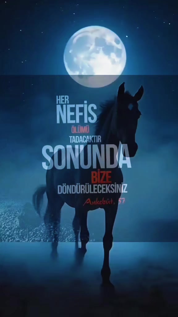 @📌Duyguu0835📌