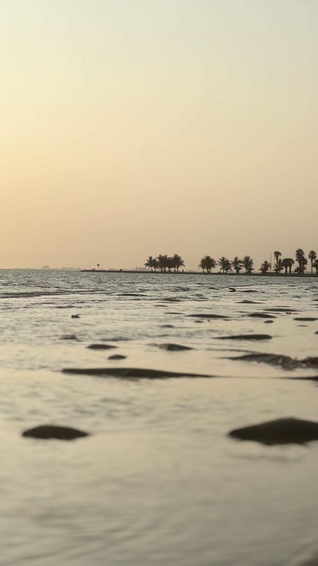@مريم الجهني
