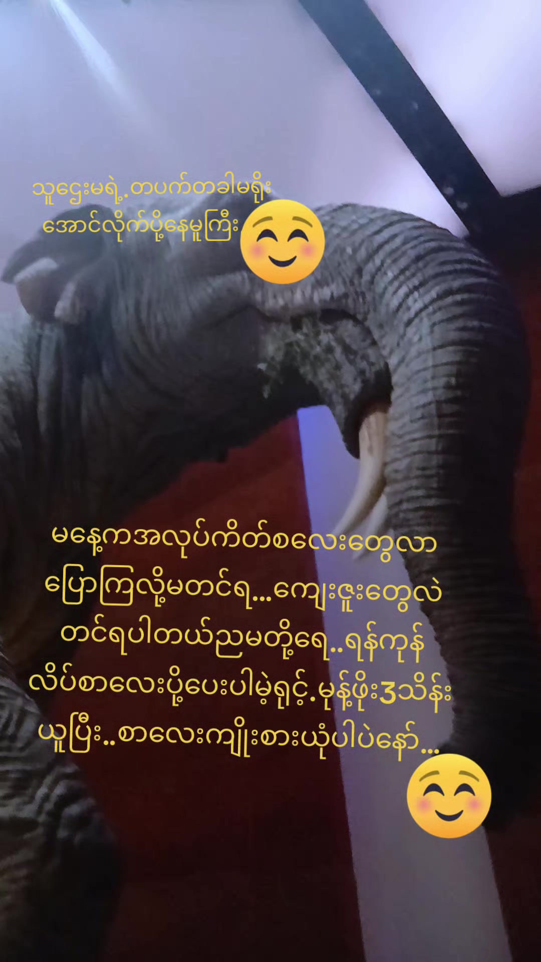 @yaminkoko