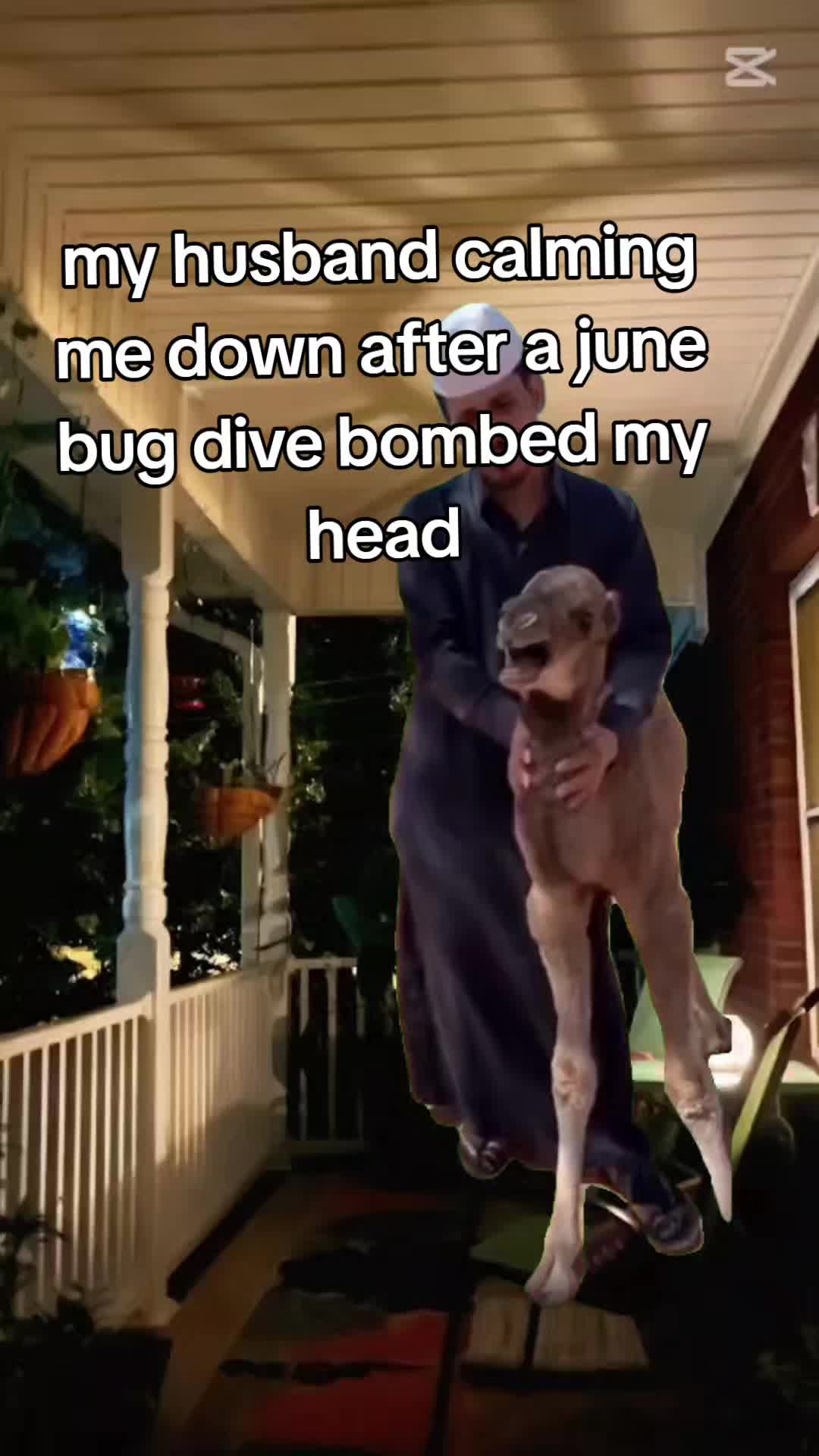 @freddy beach memes