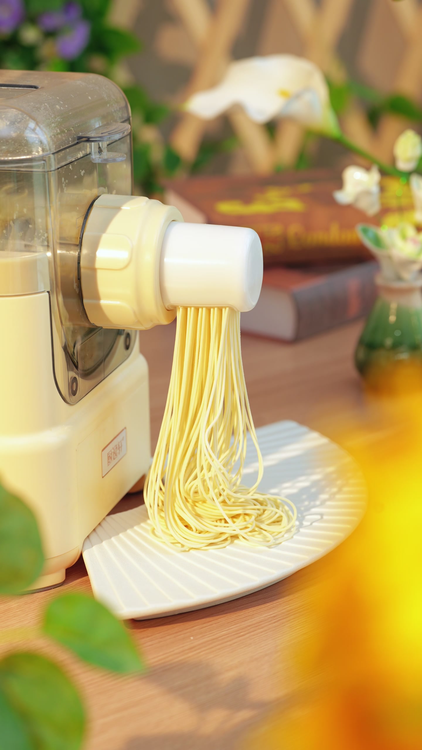 @Pasta maker factory
