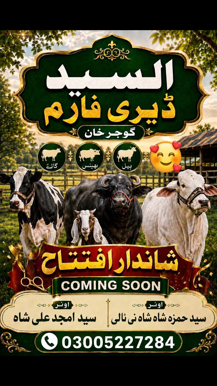 @syed بادشاہ 👑💯