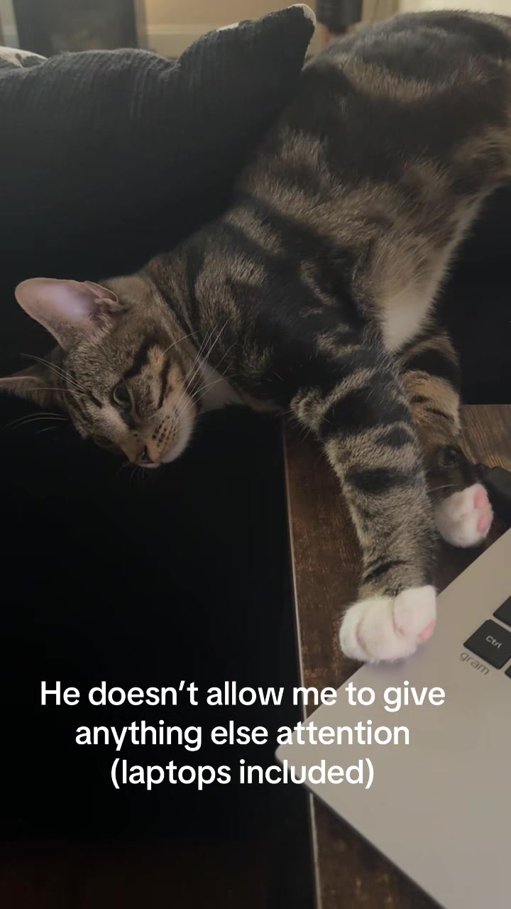 @Taka