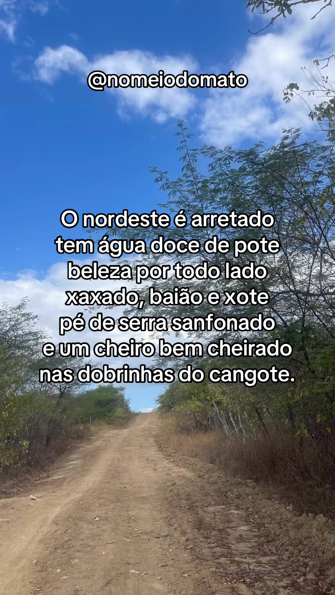 @No Meio do Mato