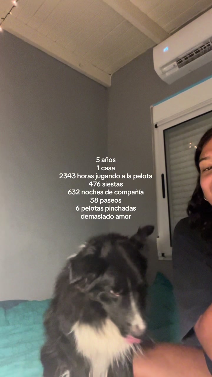 @sof&iexcl;&iexcl;a