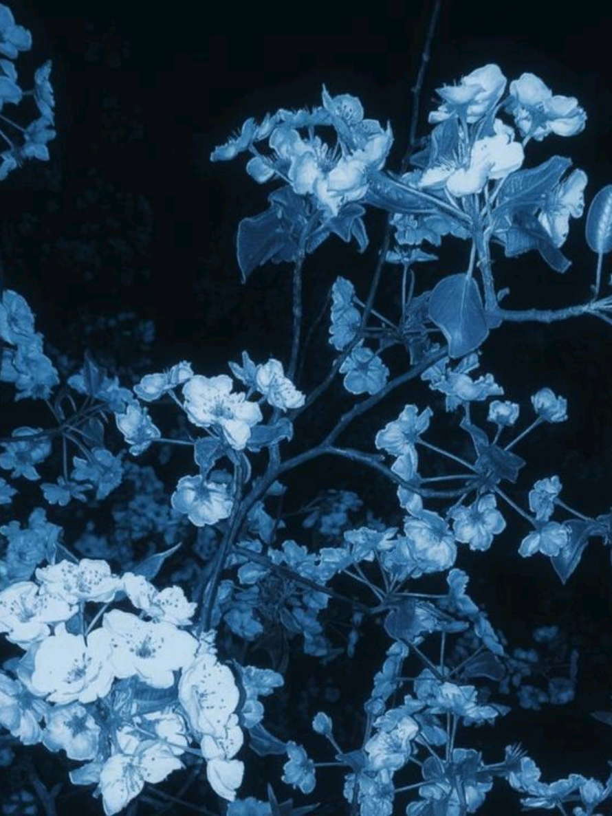 @Tet&ecirc;⚡𝓛 𝑖𝑔𝑜𝑛𝑧'𝑠 𝑤𝑖𝑓𝑒