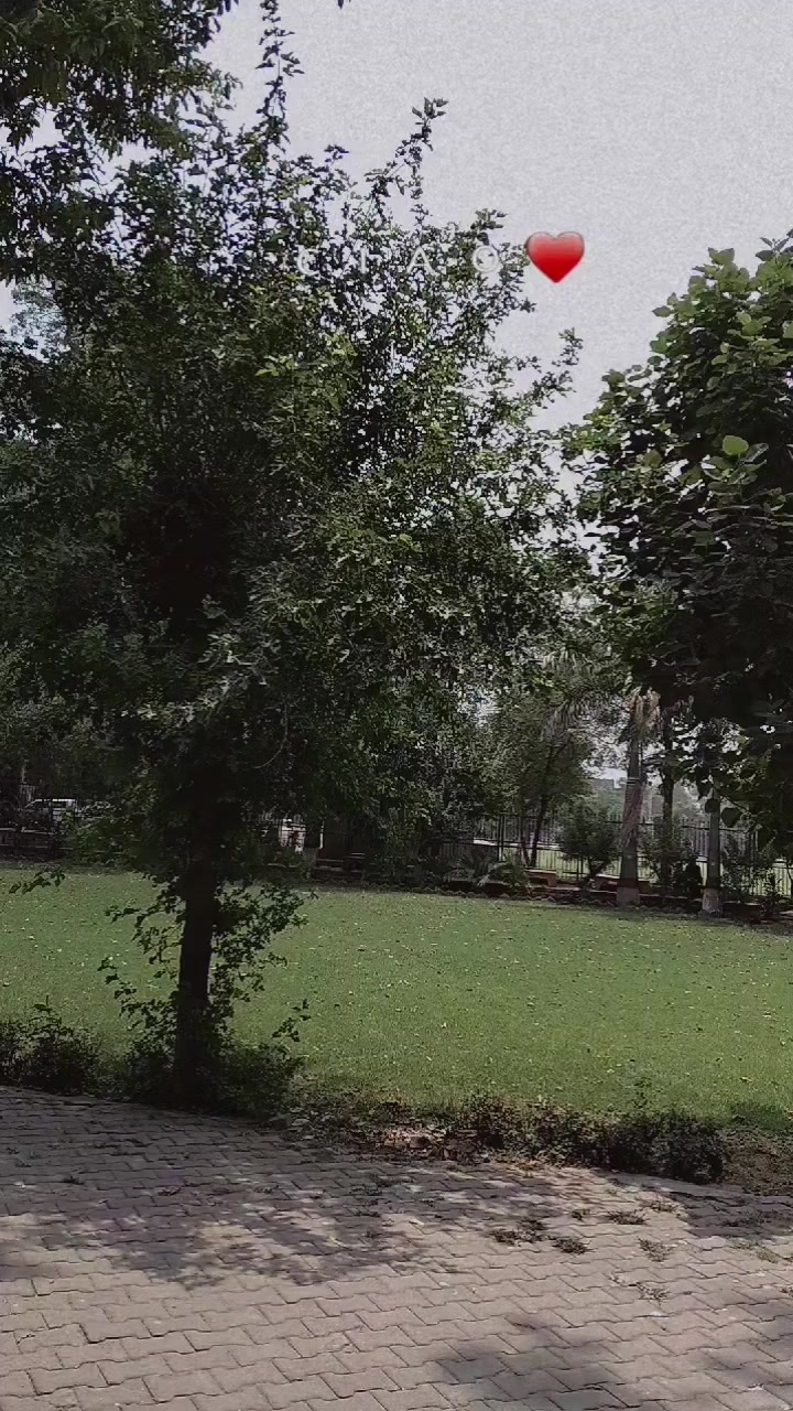 @ᴀʙᴅᴜʟ Qᴀᴅɪʀ