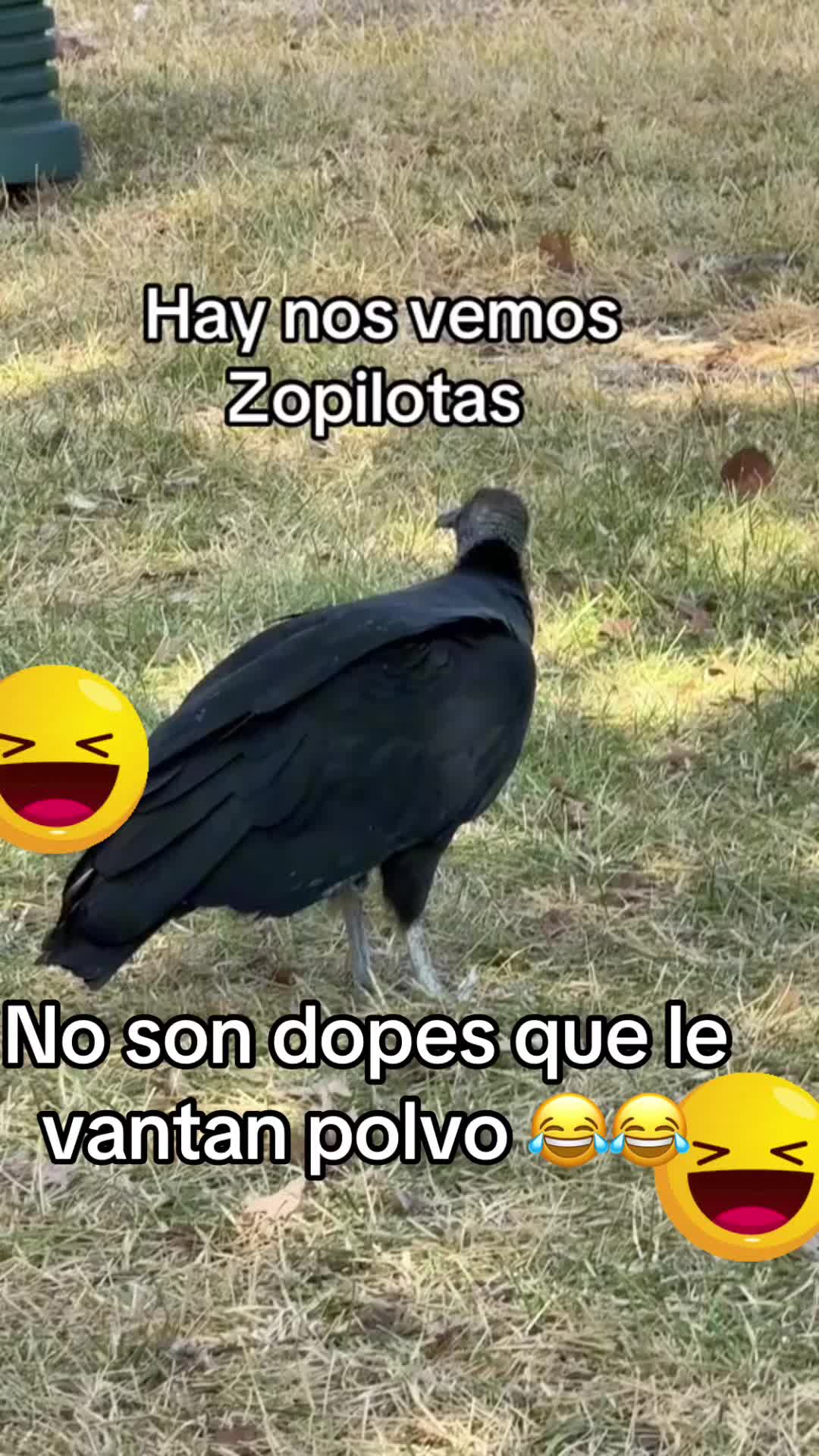 @🇸🇻MORENITA 🇺🇸