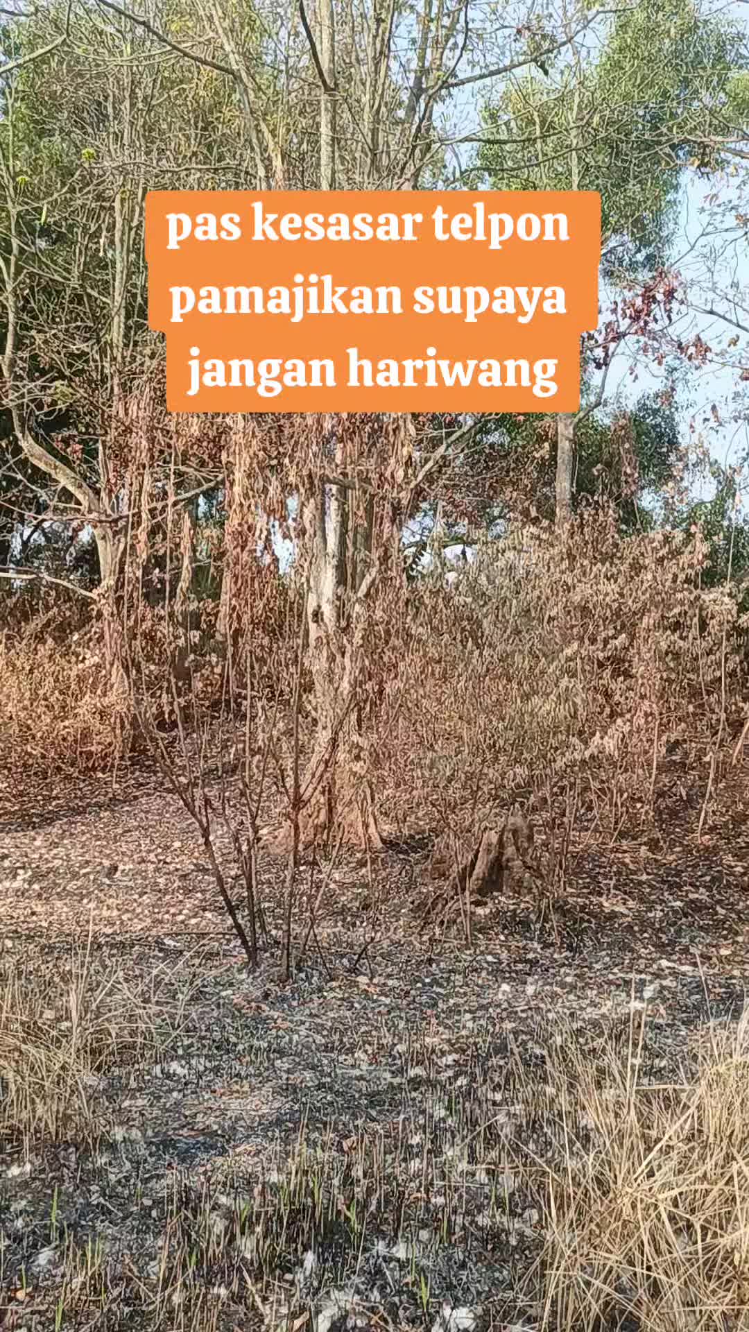 @Mas Jarot