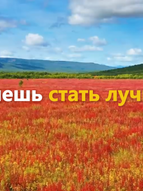 @vertex