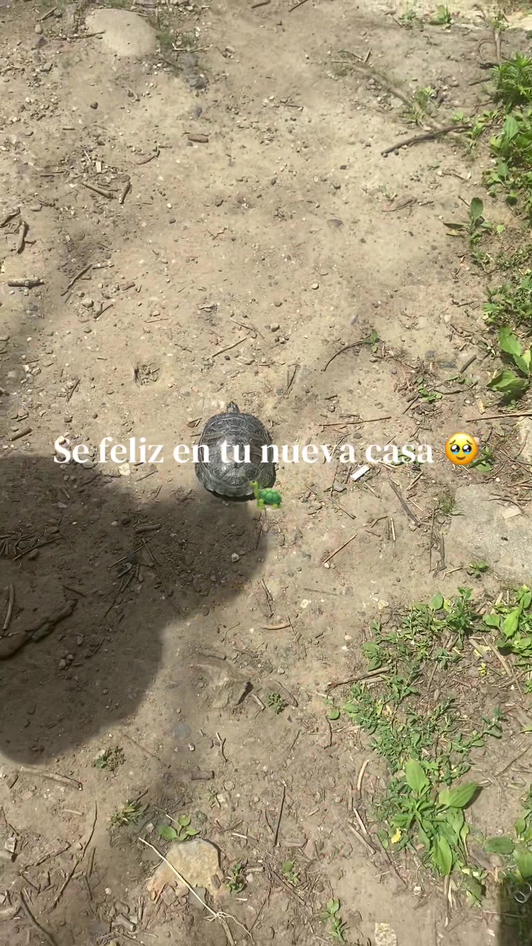 @Sara Fabian