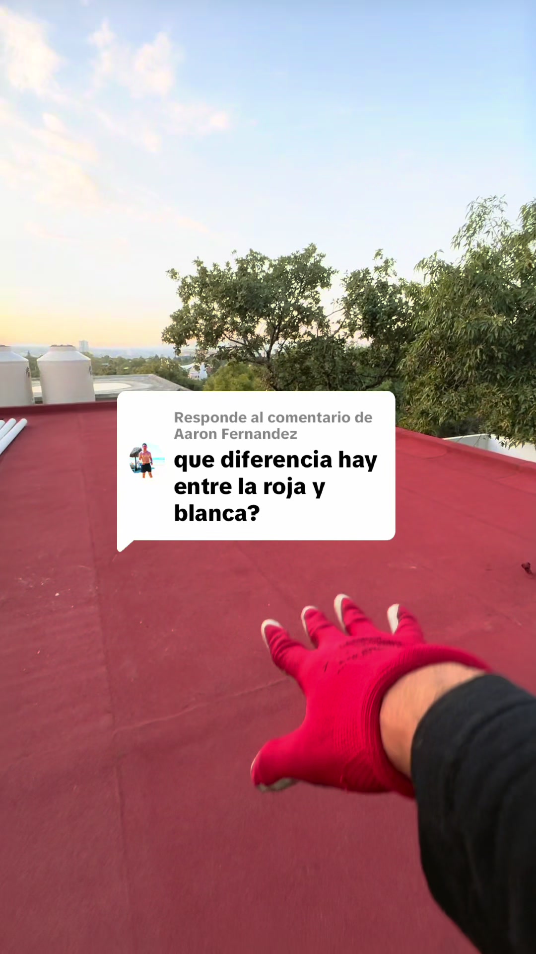 @ImperYisus