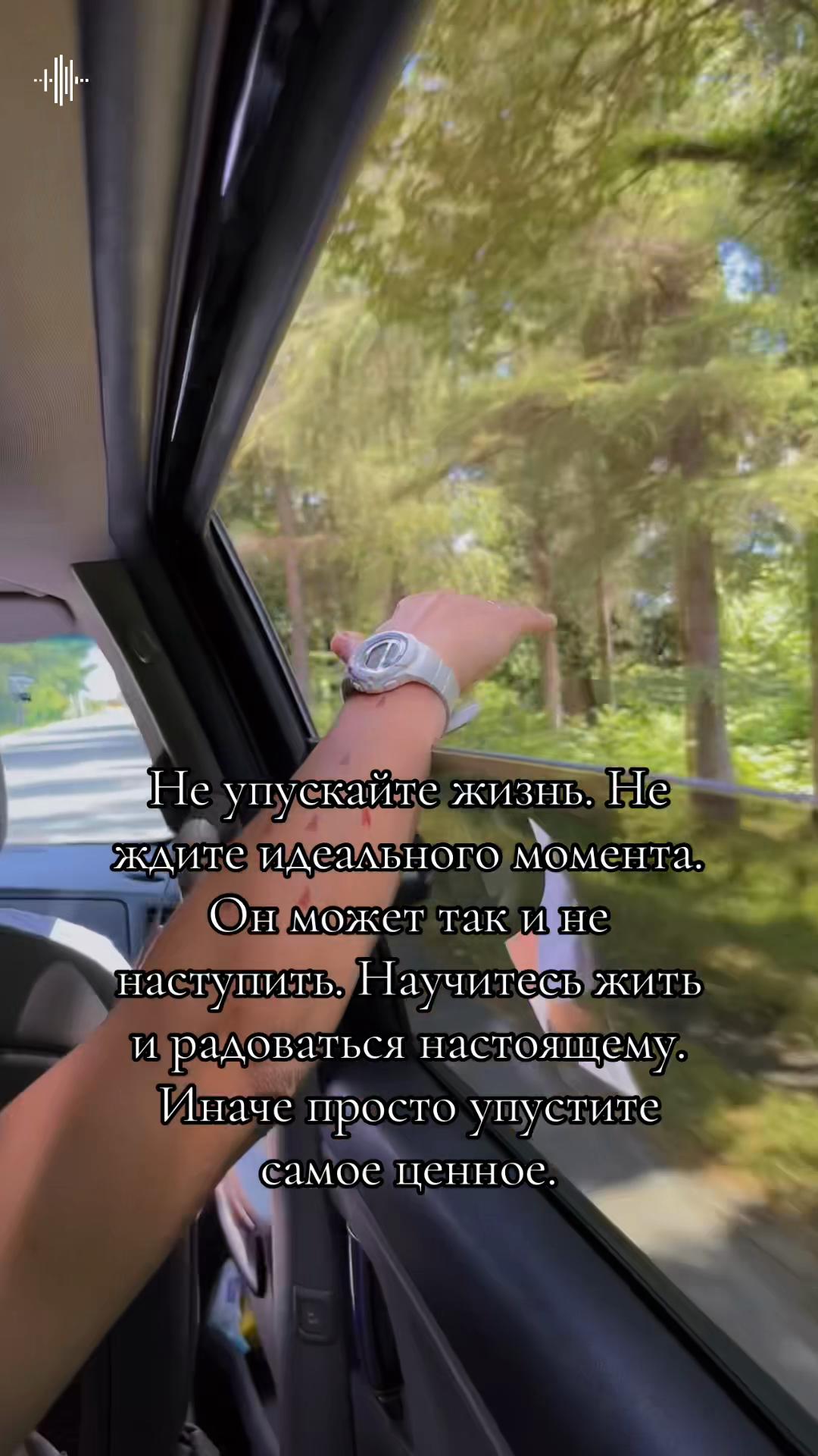 @Shalunova🦂