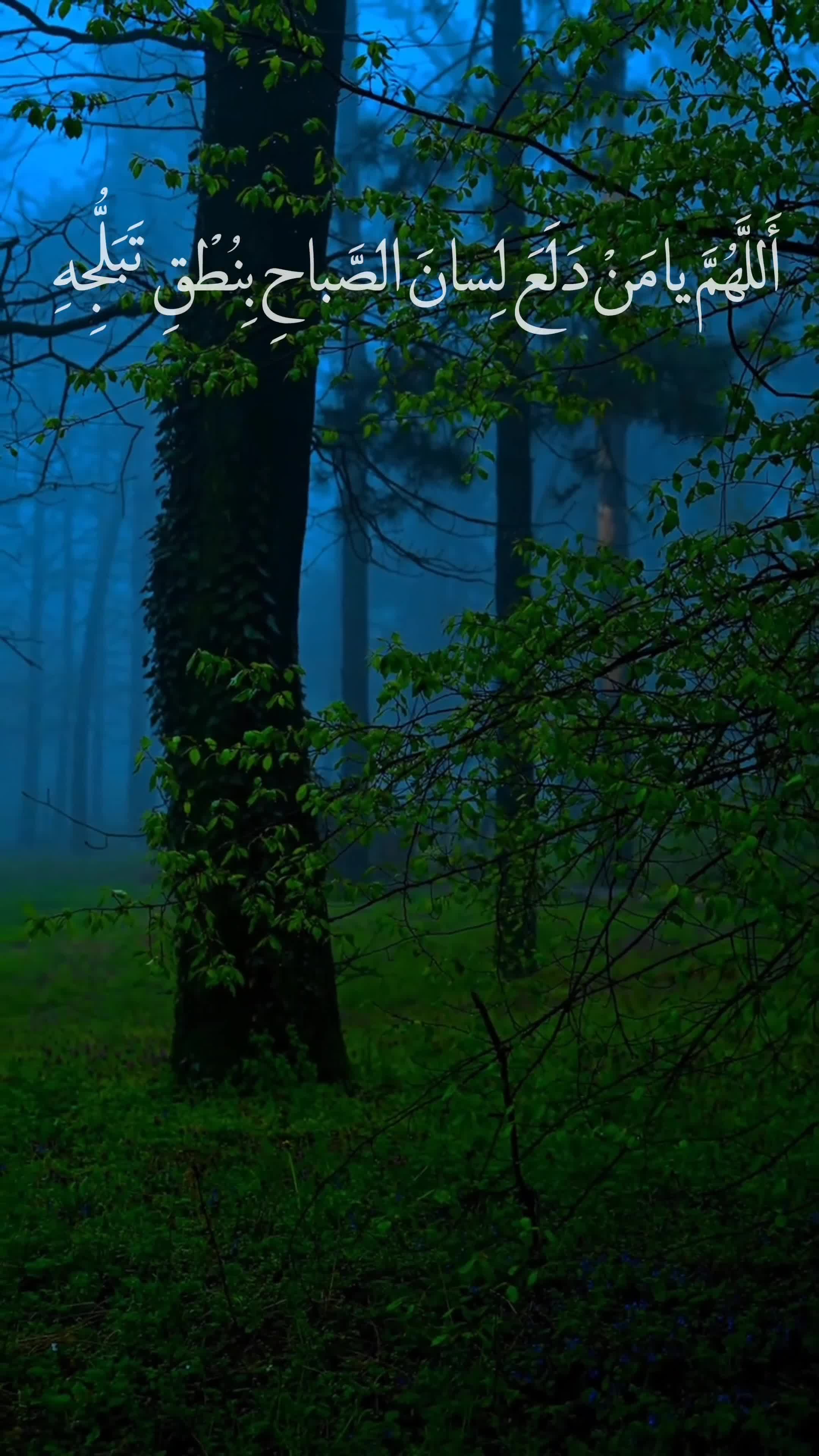 @ابِـن عَـقـيِل||𝟐𝟎𝟎𝟖/