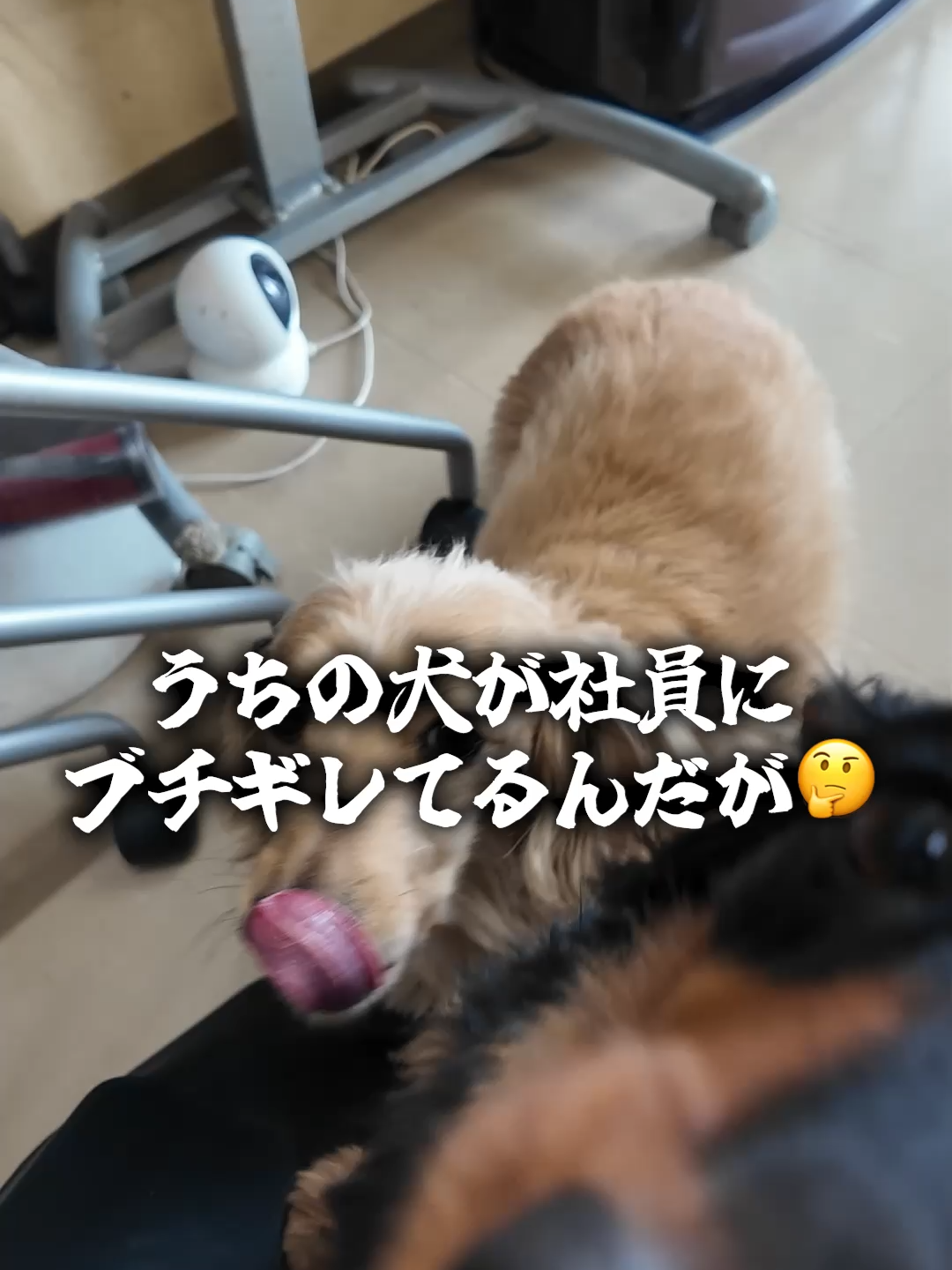@建設職人ニキ@森本組