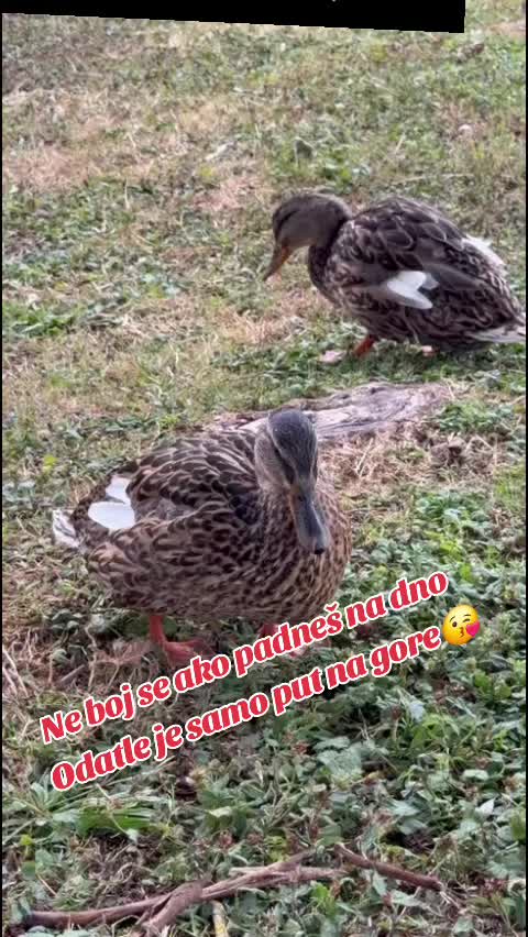 @to sam ja  😉
