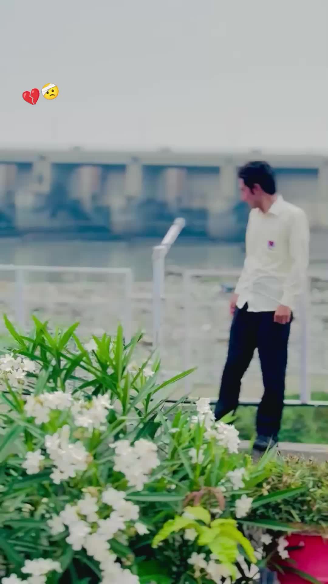 @Amir 💔🍁