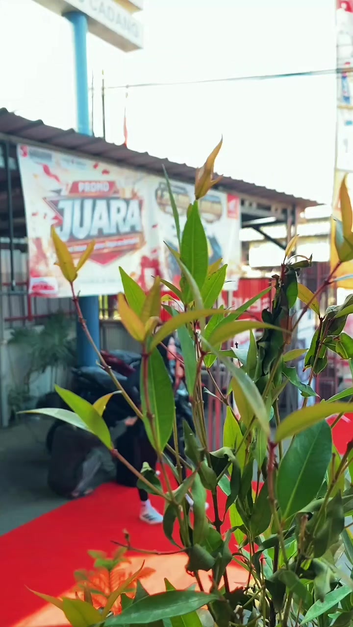 @Honda Senama Ciruas