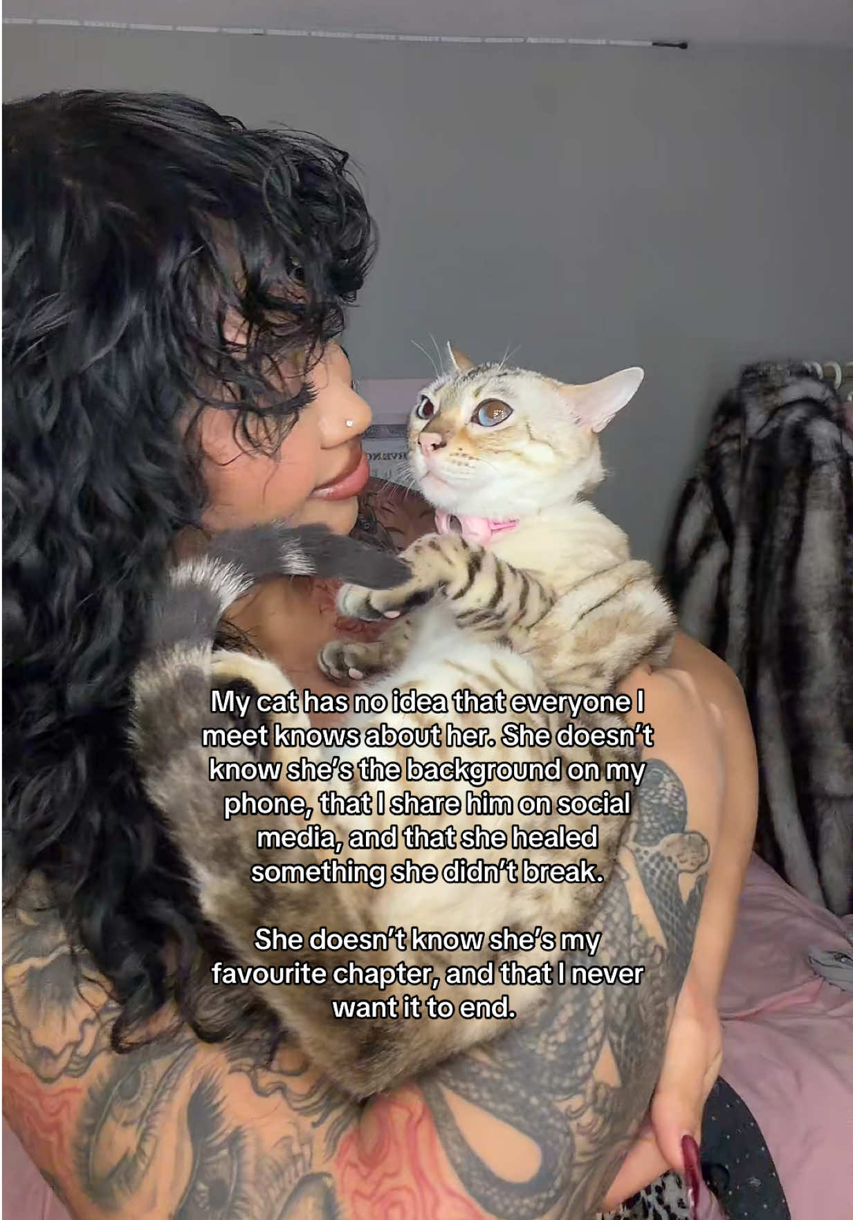 @Mirajane The Bengal🐾