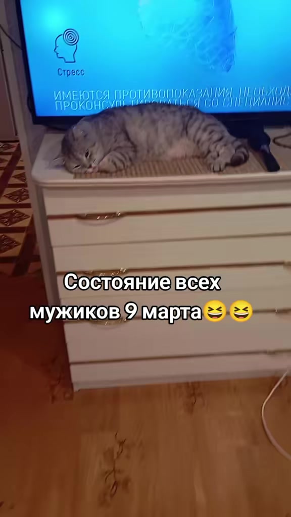 @Юморок под вечерок