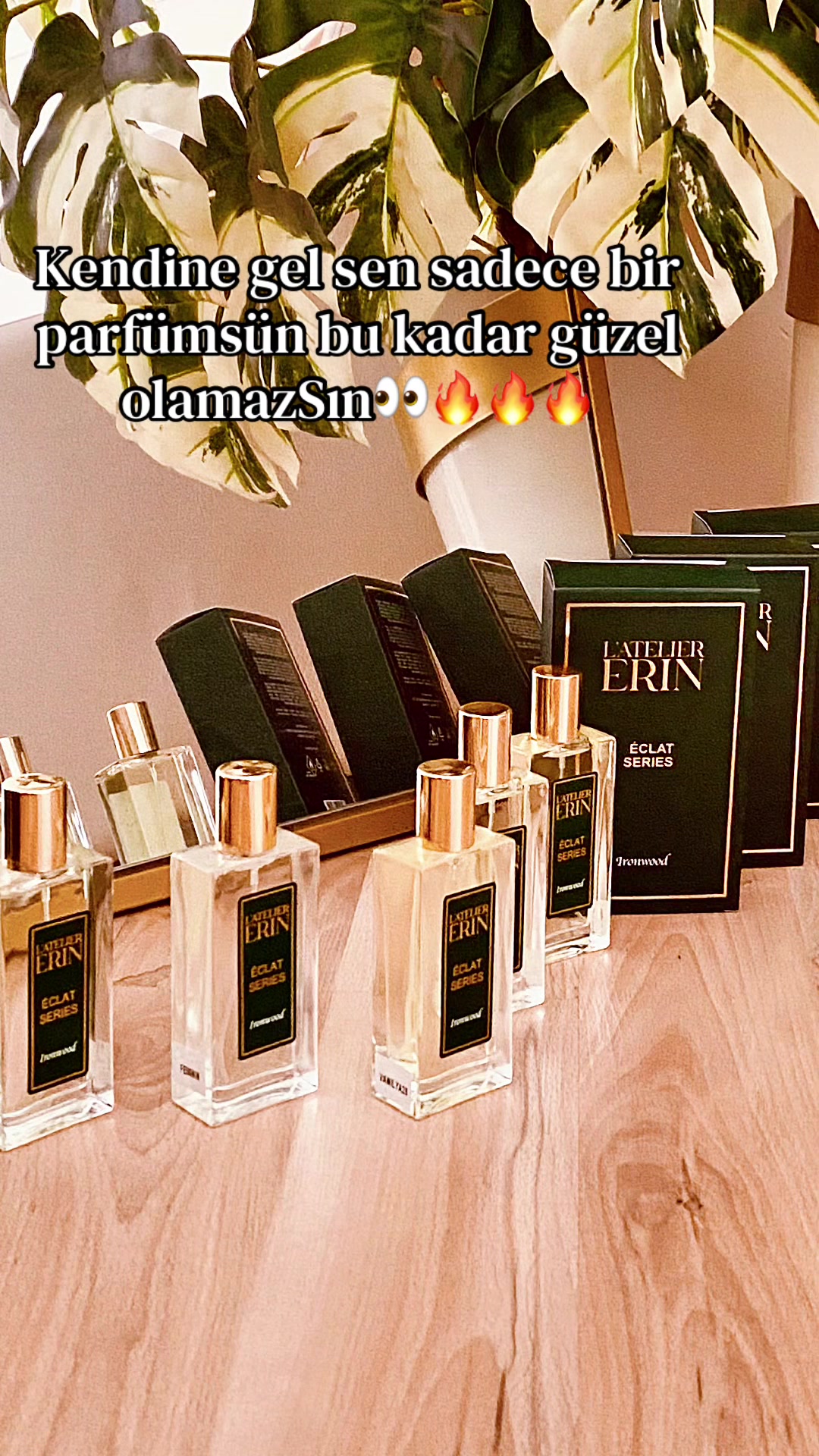 @hayal akbaş