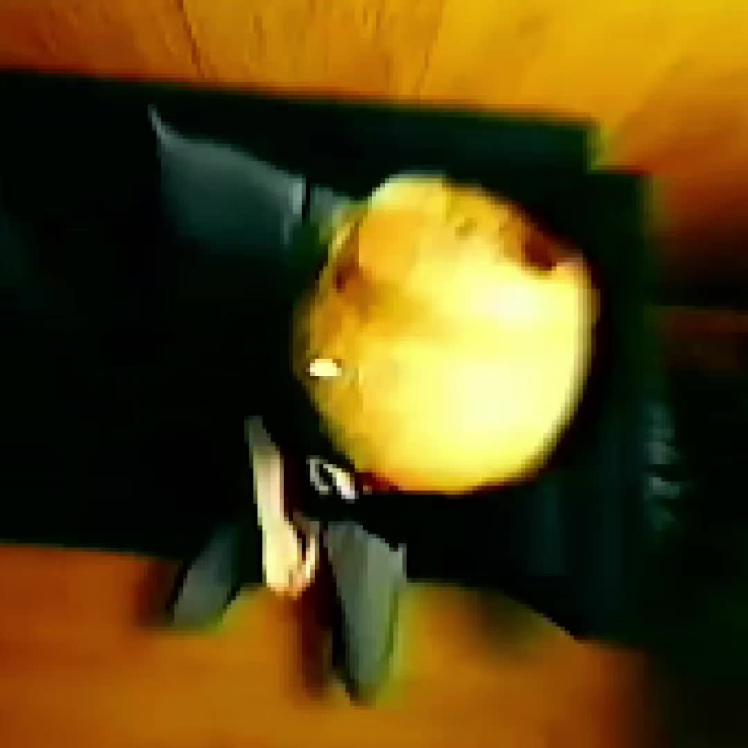 @fwgravity