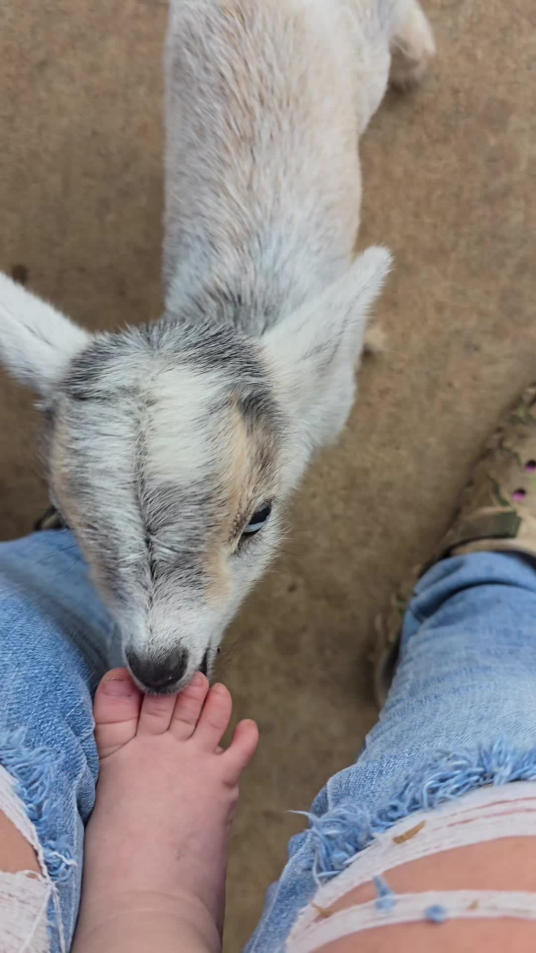 @Fairytale Farm
