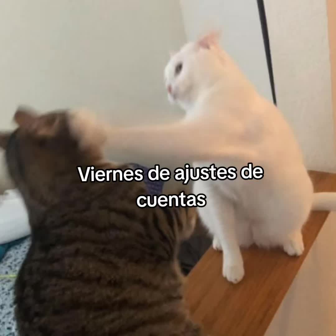 @goodvibessxd