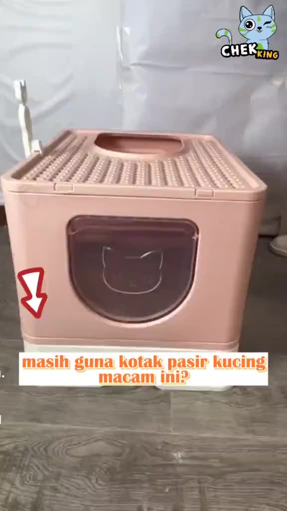 @Pecinta Kucing