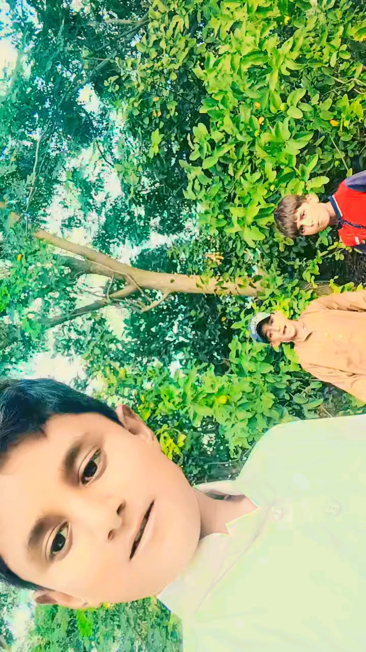 @Mubashr jatt31