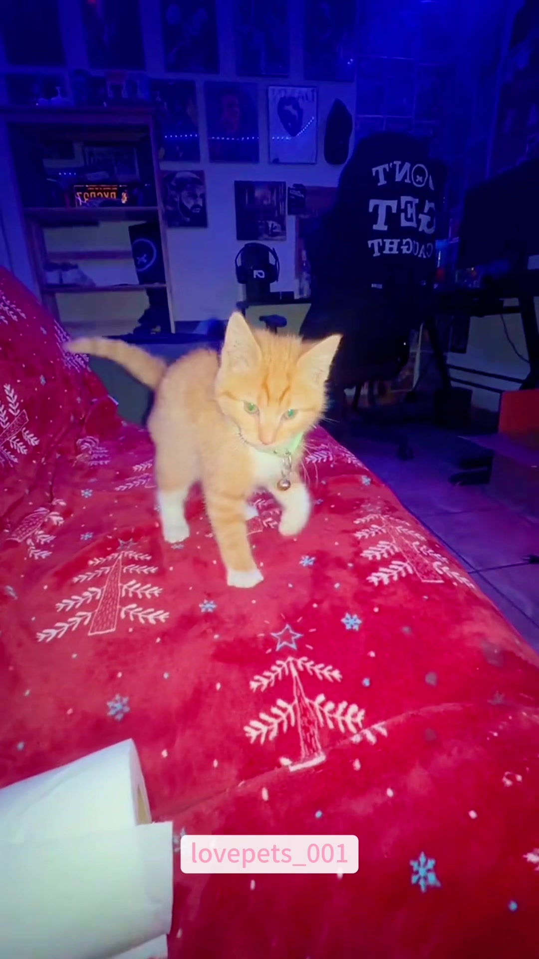 @lovepets_001
