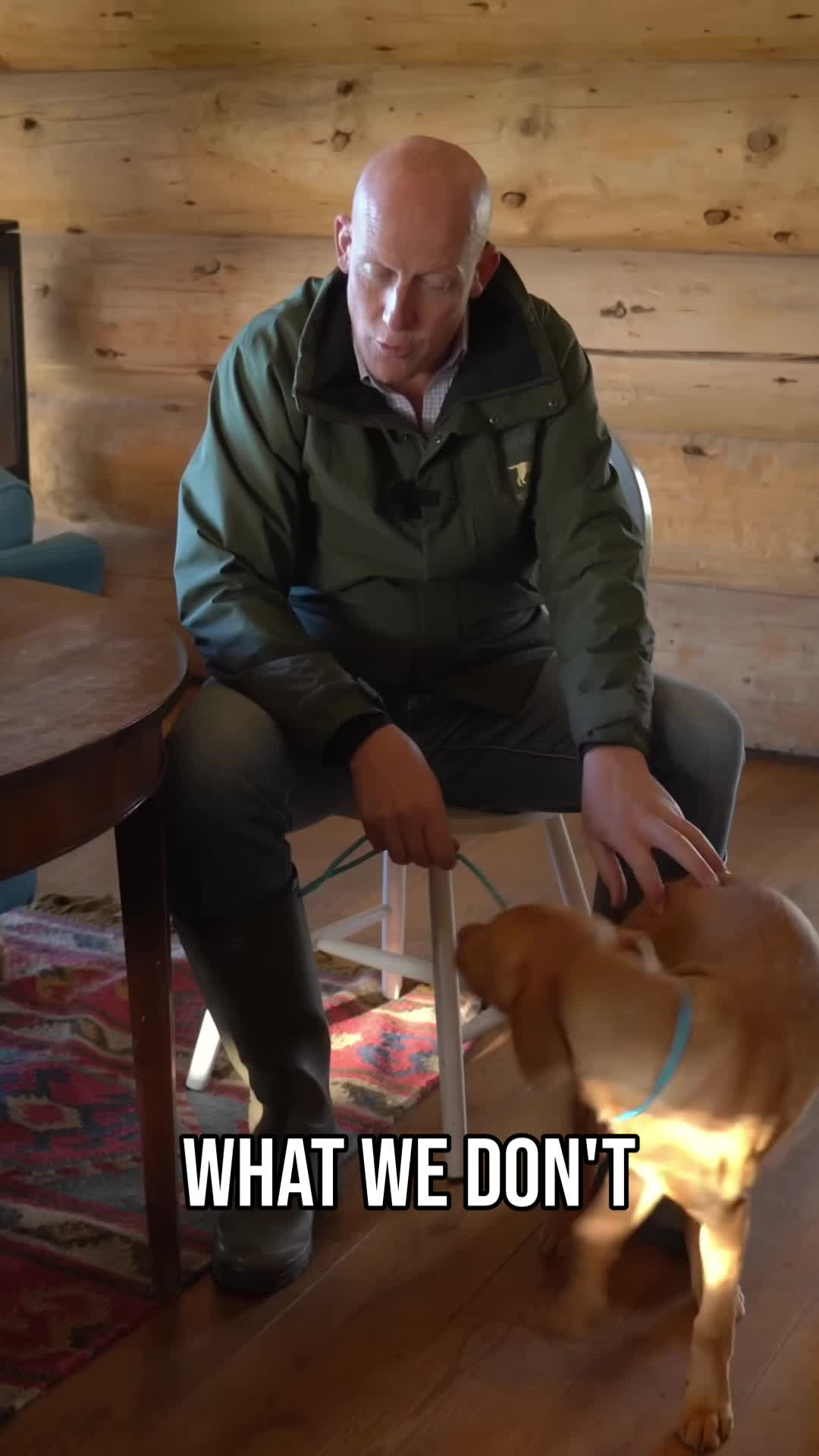 @Mordor Gundogs