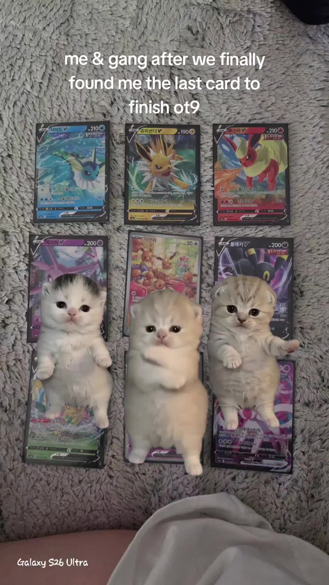 @🐈⬛🦦민니/할리🦦🐈⬛