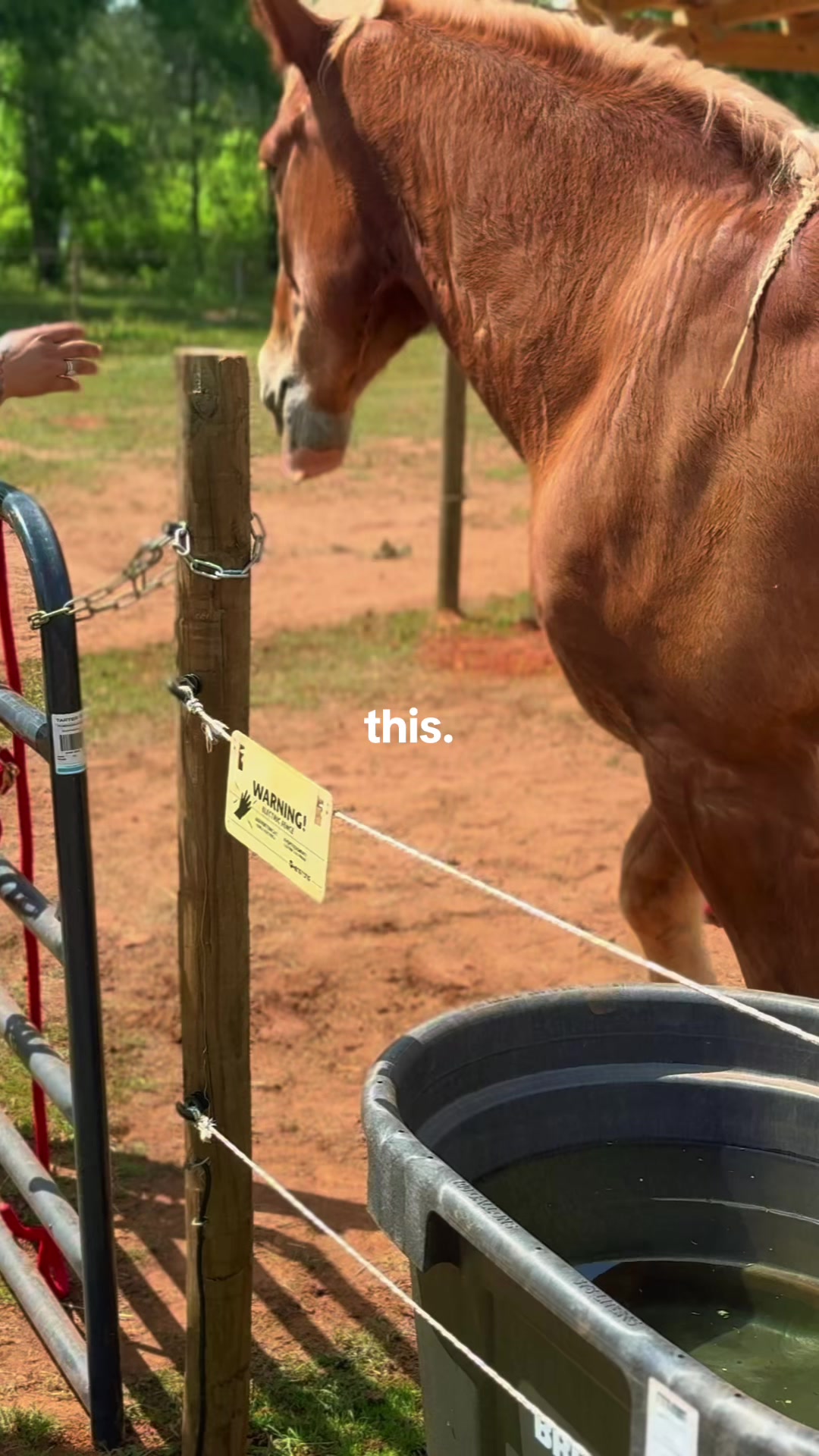 @Alpha Z Kennels