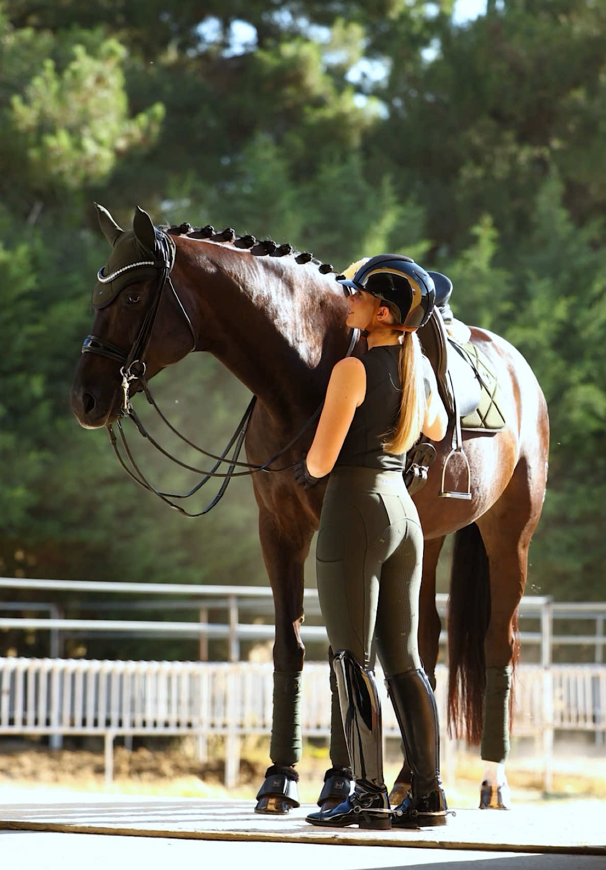 @Maximilian Equestrian