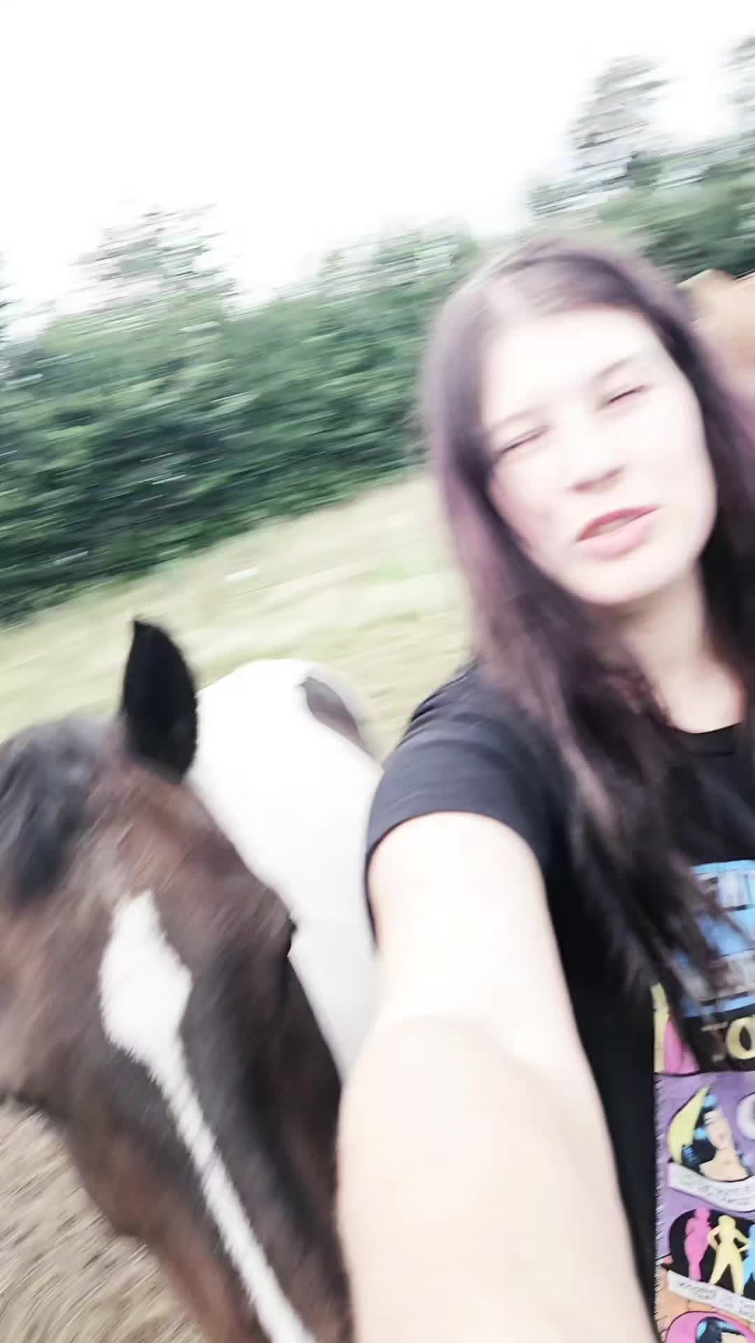@Dino and horses