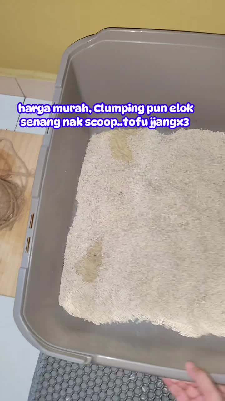 @Omma Kucing 🇲🇾🍉