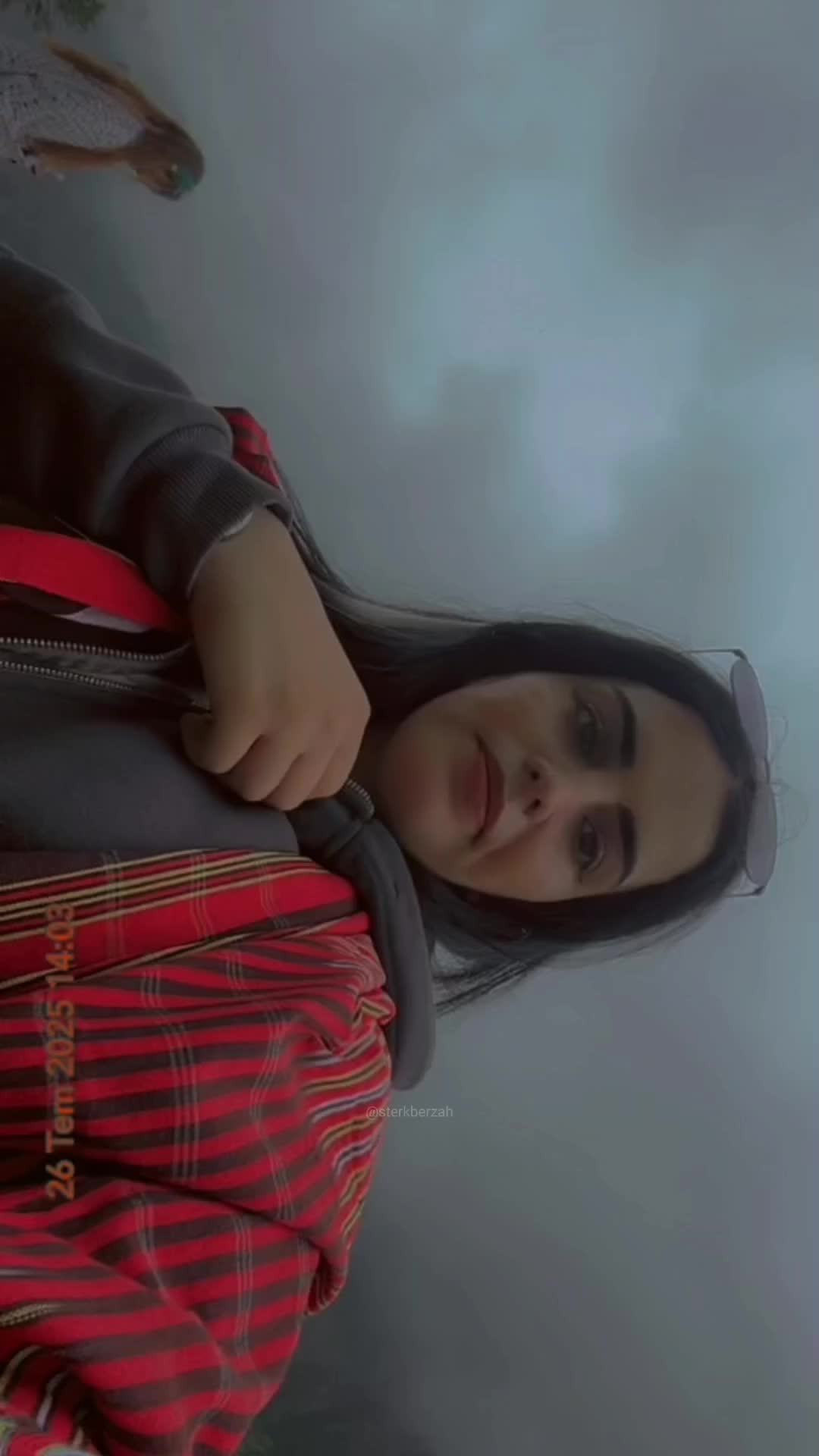 @Melek Tanrıkullu