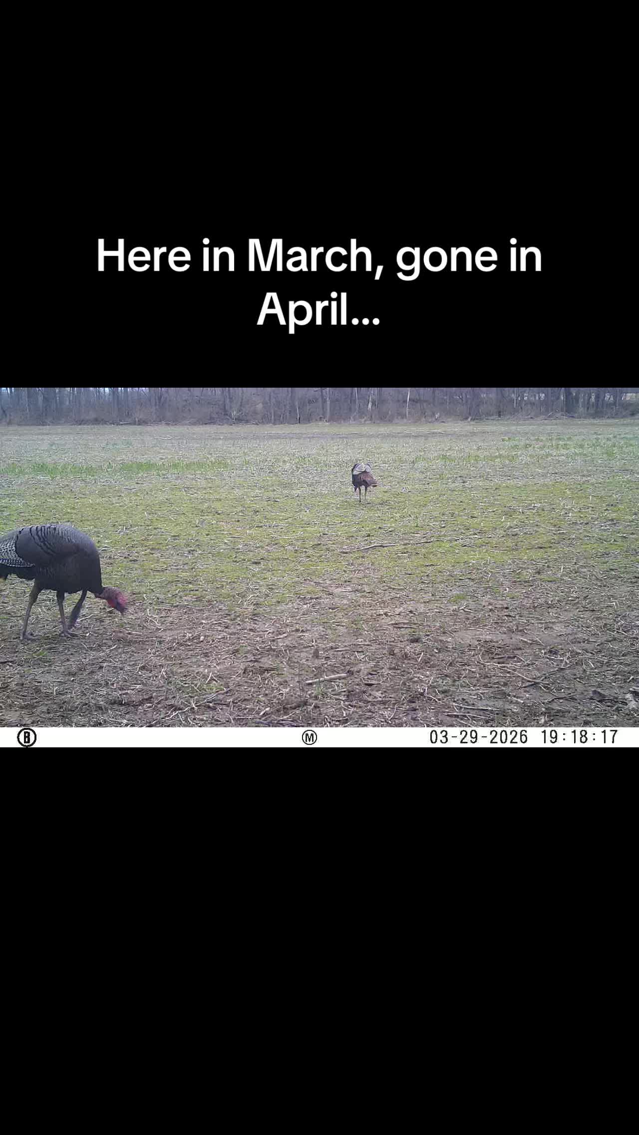 @TheHuntingJunkie