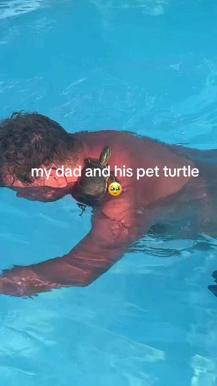 @taylee