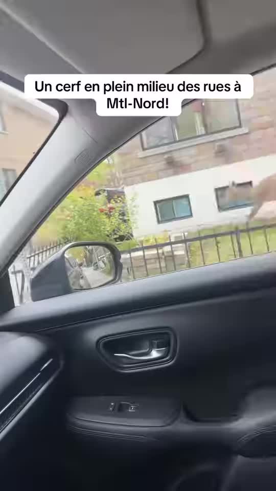@Qu&eacute;bec FIER