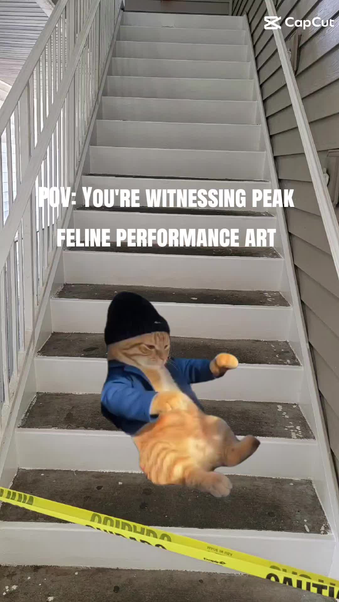 @benstarr_