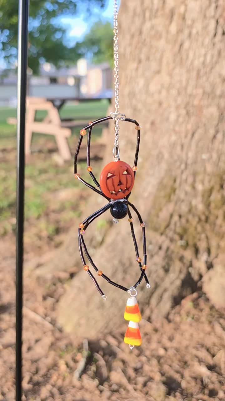 @The Spider Web