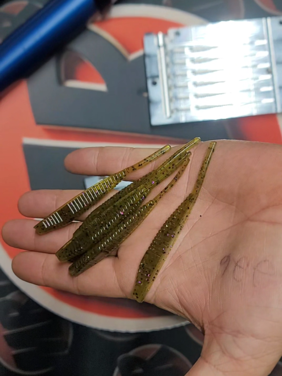 @ModestBaits