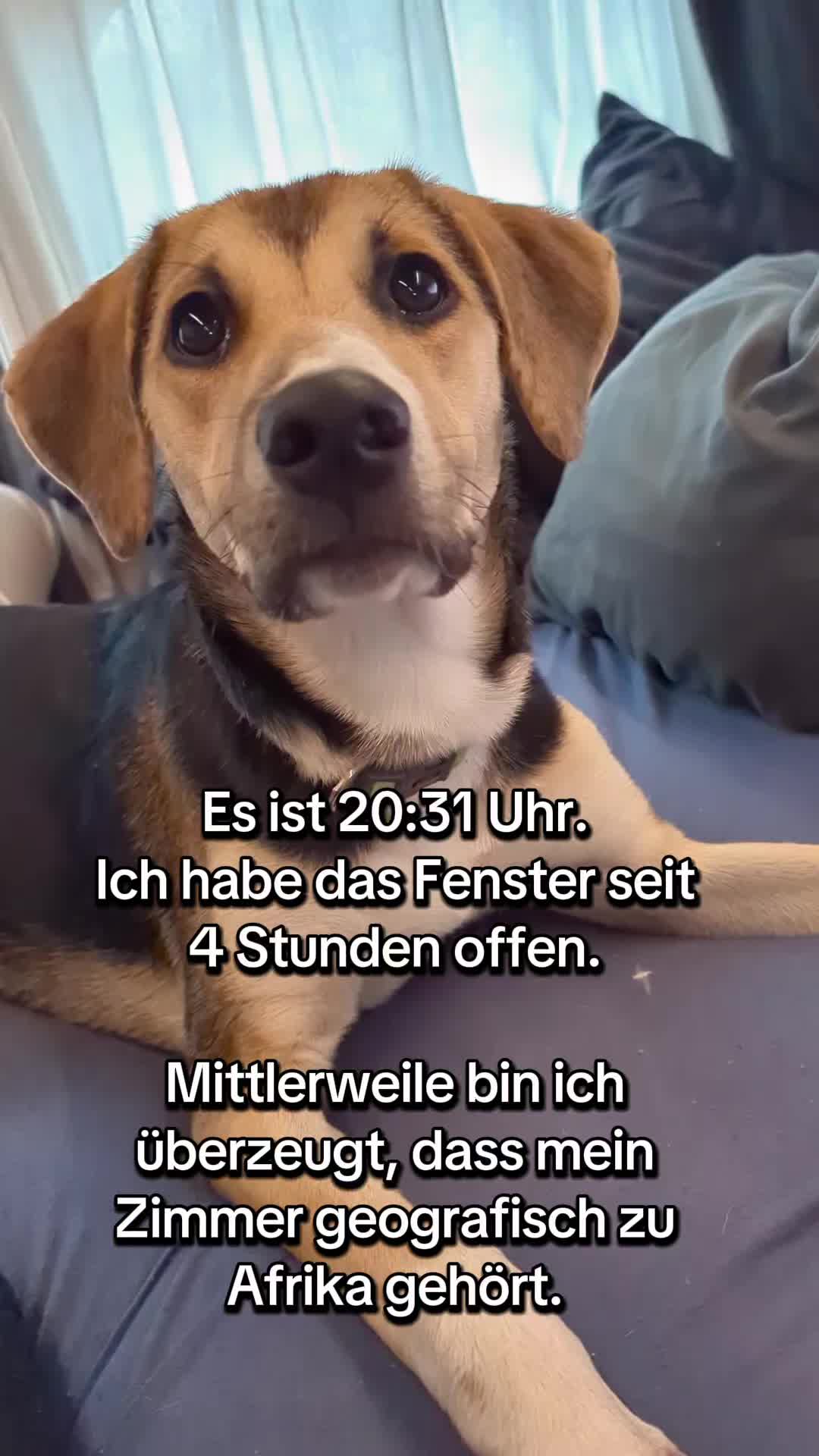 @ꪑⅈꪶꪖ ꪑꪮꪀᥴꫝꫝⅈᥴꫝⅈ